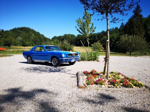 Location Ford Mustang 1966 Chatonnay