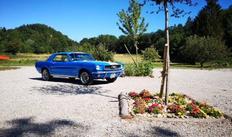 Location Ford Mustang 1966 Chatonnay