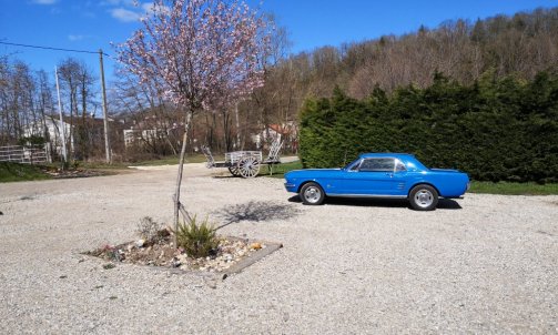 location d'une Mustang de 1965